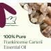Buy 100% Pure Frankincense Carterii Essential Oil - 10 mL | Natural Aromatherapy & Therapeutic Grade | Worldwide Shipping - Buy Online on GoSupps.com