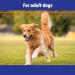 Exmarid Dry Skin Formula Supplement for Dogs with Starflower Oil - Moisture for Dry and Itchy Skin Relief Promotes Healthy Skin (150ml) - Buy Online on GoSupps.com