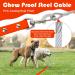 Waterproof Drag Line for Dogs - Chew-Proof Tie-Out Line (3-30m) | Robust Orange Dog Leash (10m) | Perfect for Large & Small Breeds - Buy Online on GoSupps.com