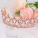 COCIDE Headbands for Women Hairbands for Women Tiaras for Women Crowns for Women Birthday Party Hair Accessories for Women Style 004 - Buy Online on GoSupps.com