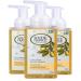 South of France Natural Body Care Foaming Hand Soap 8oz - Foam Hand Wash (Lemon Verbena 3 Bottles) Lemon Verbena 8 Fl Oz (Pack of 3)