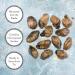 Roland Foods Smoked Medium Oysters in Oil - Wild Caught - 3 oz (Pack of 1) - Buy Online on GoSupps.com