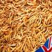 UK GROW 5L Premium Dried Mealworms - High-Quality 5 Litre Pack - Buy Online on GoSupps.com