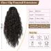 REECHO 18 Claw Clip Ponytail Extension - Long Curly Wavy Hairpiece for Women in Black/Brown - Natural Synthetic Hair Extension - Daily Wear - 160g - Buy Online on GoSupps.com