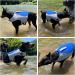 Dog Life Jacket Sport Style Dog Float Coat with Excellent Buoyancy Stylish Dog Swimming Safety Vest with Rescue Handle for Small Medium Large Dogs Blue S S (Bust 17"-22") Blue - Buy Online on GoSupps.com