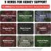 29-in-1 Kidney and Liver Cleanse Detox & Repair Drops High Absorption Cranberry and Milk Thistle Supplement Natural Herbal Daily Detox Support for Kidney Liver Urinary Tract Bladder 60ml - Buy Online on GoSupps.com
