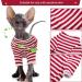 Hairless Cat Cotton Clothing - Breathable Summer T-Shirts & Striped Vests for Sphynx Cornish Rex & Devon Rex | Soft Skin-Friendly Cat Pajamas (L 7.7-8lbs) - Shop Now! - Buy Online on GoSupps.com