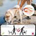 Shop Lollanda Walking Aid for Dogs - Support Mobility for Sick & Older Dogs | Orange Wearable Aid & Dog Dishes - Buy Online on GoSupps.com