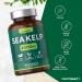 Sea Kelp Tablets | 4000mg | 180 Count | High Strength Vegan Supplement | Concentrated Extract | No Artificial Preservatives | by Horbaach - Buy Online on GoSupps.com
