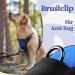 Rabbitgoo Dog Harness for Small Dogs - Adjustable Anti-Pull No Choke Soft Padded Reflective Chest Harness - Blue (1 Pack) - Buy Online on GoSupps.com
