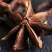  LA PLANTIGO Star anise 100g - LA PLANTIGO - Buy Online on GoSupps.com