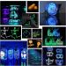 Glow in The Dark Powder Set - 12 Colors Epoxy Resin Dye for DIY Art & Crafts, Nail Art, Acrylic Paint - Luminous Pigment Powder, Long Lasting & Safe - 0.7oz Each - Buy Online on GoSupps.com