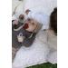 BIBS Natural Rubber Baby Pacifiers, Set of 2 BPA-Free Soothers, Size 6-18 Months, Sage/Ivory, Made in Denmark - Buy Online on GoSupps.com