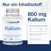 Buy Theorganical High-Dose Potassium Citrate 800mg | 240 Capsules | Made in Hamburg | Pure & Additive-Free Potassium Supplement - Buy Online on GoSupps.com