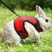 Adjustable Soft Rabbit Dishes with Elastic Leash for Small Pets - Perfect for Kittens and Bunnies (Size S Chest 27.5-33cm Red) - International Shipping Available - Buy Online on GoSupps.com