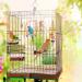 Allazone Bird Parrot Toys 14 PCS Hanging Bell Pet Bird Cage Hammock Swing Toy Bird Perch Toys Wooden Chewing Toy for Conures Love Birds Small Parakeets Cockatiels Macaws Style A - Buy Online on GoSupps.com