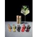 Buy Gin Botanicals Basic Set | 5 Premium Gin & Tonic Spices + Recipe Book | Perfect Gift for Him & Her | International Shipping Available - Buy Online on GoSupps.com