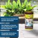 Tetramine Flakes - Balanced Fishing Feed for Ornamental Fish | 250 ml Can | Healthy Fish & Clear Water - Buy Online on GoSupps.com