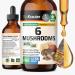 BIO KRAUTER 6 Mushrooms Supplement 6-in-1 - Lions Mane Shiitake Turkey Tail Cordyceps Reishi & Chaga Liquid Extract - Mushroom Complex Tincture - Vegan Drops 4 Fl.Oz.