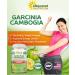 100% Natural Garcinia Cambogia Extract - 120 Capsules | Ultra High Strength HCA Diet Pills for Weight Loss | Best Fat Burner & Detox Supplement for Men & Women - Buy Online on GoSupps.com