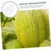 Yardwe 9 Pcs Vegetable Growing Mold Strawberry Accessories Small Fruit Mold Watermelon Multifunction 9x8cmx3pcs Transparentx3pcs - Buy Online on GoSupps.com