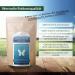 1kg Chlorella Powder - 100% Natural Additive-Free Broken Cell Walls Gentle Low-Temperature Processing | International Shipping - Buy Online on GoSupps.com