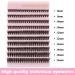 Poiuyoiu 40D False Eyelash Extensions | Reusable Cluster Lashes 8-16mm | Wispy Individual Eyelashes DIY - Buy Online on GoSupps.com