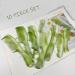 10 Pcs Hair Comb Set for Women and Men - Coarse and Fine Dressing Combs - Buy Online on GoSupps.com