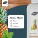 Saunabedarf Schneider Infusion Concentrate - Pineapple Mint | Fruity-Fresh Sauna Experience - 1000ml - Buy Online on GoSupps.com