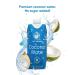 Palmdream Coconut Water - No Sugar Added | Premium Non-GMO Coconut Water from Single Origin Coconuts | Gluten Free | Natural Electrolytes | 12 Pack of 330ml Bottles - Buy Online on GoSupps.com