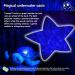 Cloud b Tranquil Turtle Aqua Nightlight Projector with Soothing Sounds | Adjustable Settings | Auto-Shutoff - Buy Online on GoSupps.com