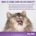Pet MD Lysine Support Gel for Cats - Allergy & Immune Support - Salmon Flavour - 50mL - Buy Online on GoSupps.com