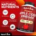 Nutrivein Premium Apple Cider Vinegar Capsules & Magnesium L-Threonate Bundle: High-Absorption Magnesium Threonate Supplement and Apple Cider Vinegar Supplements for Brain, Gut, & Overall Well-Being - Buy Online on GoSupps.com