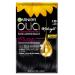 Garnier Garnier Olia Permanent Hair Dye Ammonia-Free Natural Flower Oils Sapphire Black (1.10)