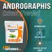 BULKSUPPLEMENTS.COM Andrographis Extract Powder - 1000mg per Serving - Gluten Free Herbal Supplement - 250 Servings (250g) - Buy Online on GoSupps.com
