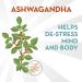 Align Probiotic Digestive De-stress with Ashwagandha - 21 Capsules for Gut Health & Relaxation - Buy Online on GoSupps.com