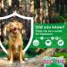 WORM SCREEN Dog (4 tablets) - Veterinary Licensed Worming Tablets for Dogs and Puppies - Kills Roundworms, Hookworms, and Tapeworms - Buy Online on GoSupps.com
