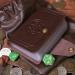 Pocket Compendium Tome of Recollection - RPG Spellbook & Reference Card Holder with Customizable Player Cards - Buy Online on GoSupps.com