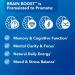 Vital Plan Brain Boost Supplement by Dr. Bill Rawls | Brain Boosting Capsules with Lions Mane, Cats Claw, Bacopa, Sensoril Ashwagandha, & Ginkgo Biloba - Buy Online on GoSupps.com