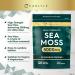 Sea Moss Tablets 5000mg | 120 Vegan Tablets | High Strength Sea Moss Extract | Carlyle - Buy Online on GoSupps.com