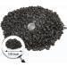 5lb Black Lava Rocks for Succulent Landscaping - Pure Volcanic Rocks for Plant Top-Dressing - 1/5 Inch Size - Buy Online on GoSupps.com