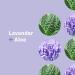 Everyone 3-in-1 Lavender & Aloe Coconut Cleanser - 32 oz (Pack of 2) - Organic Plant Extracts - Buy Online on GoSupps.com