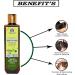 Blessfull Healing Organic Rosemary Amla Hair Cleanser | Shampoo 100 ML (Packing May Vary) - Buy Online on GoSupps.com