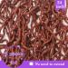 ZRQ 24 Inch Ginger Soft Locs Crochet Hair - 6 Packs Pre-looped Goddess Locs Curly Wavy 350 Crochet Locs. Synthetic Copper Red Afro Roots Dreadlocks Hair Extensions - Buy Online on GoSupps.com