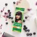 Joanna Naturia Color Permanent Hair Color Cream Goodness of Milk Proteins and Peach Extracts Premium-Quality Hair Dye Provides Soft and Lustrous Hair Long-Lasting Hair Colors Cold Brown - Buy Online on GoSupps.com