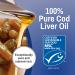 Orange Flavor Fermented Cod Liver Oil Capsules - 120 Count - Buy Online on GoSupps.com