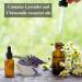 Vitali-Chi Lavender Oil Pillow Spray Mist for Deep Sleep | Air Freshener for Room Bed Linen Carpet Fabric Spray & Home Fragrance | Contains Lavender & Chamomile Essential Oils - 50 ml Chamomile & Lavender - Buy Online on GoSupps.com