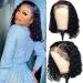 RUNBFUUY Hair 14" Curly Glueless Wigs Human Hair Pre Plucked Pre Cut Hd Lace Curly Bob Wig Human Hair Short Black Wig with Baby Hair Ready to Go Wig 180 Density Black
