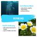 Refine Me! Pore Refining Facial Mask - Earth Marine Water & Meadowfoam Seed Oil | 50ml - Shop Internationally - Buy Online on GoSupps.com