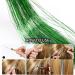Sparkling Green Hair Tinsel Extensions Kit - 200 Strands, Heat Resistant Glitter Hair Extensions for Women & Girls - 48 Inch - Buy Online on GoSupps.com